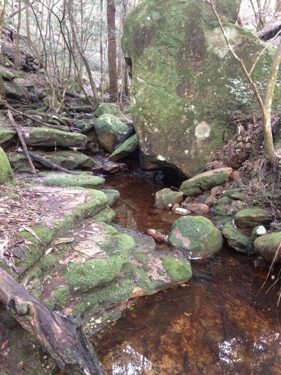 Kurrajong Trails & Cottages Wheeny Creek Exterior foto